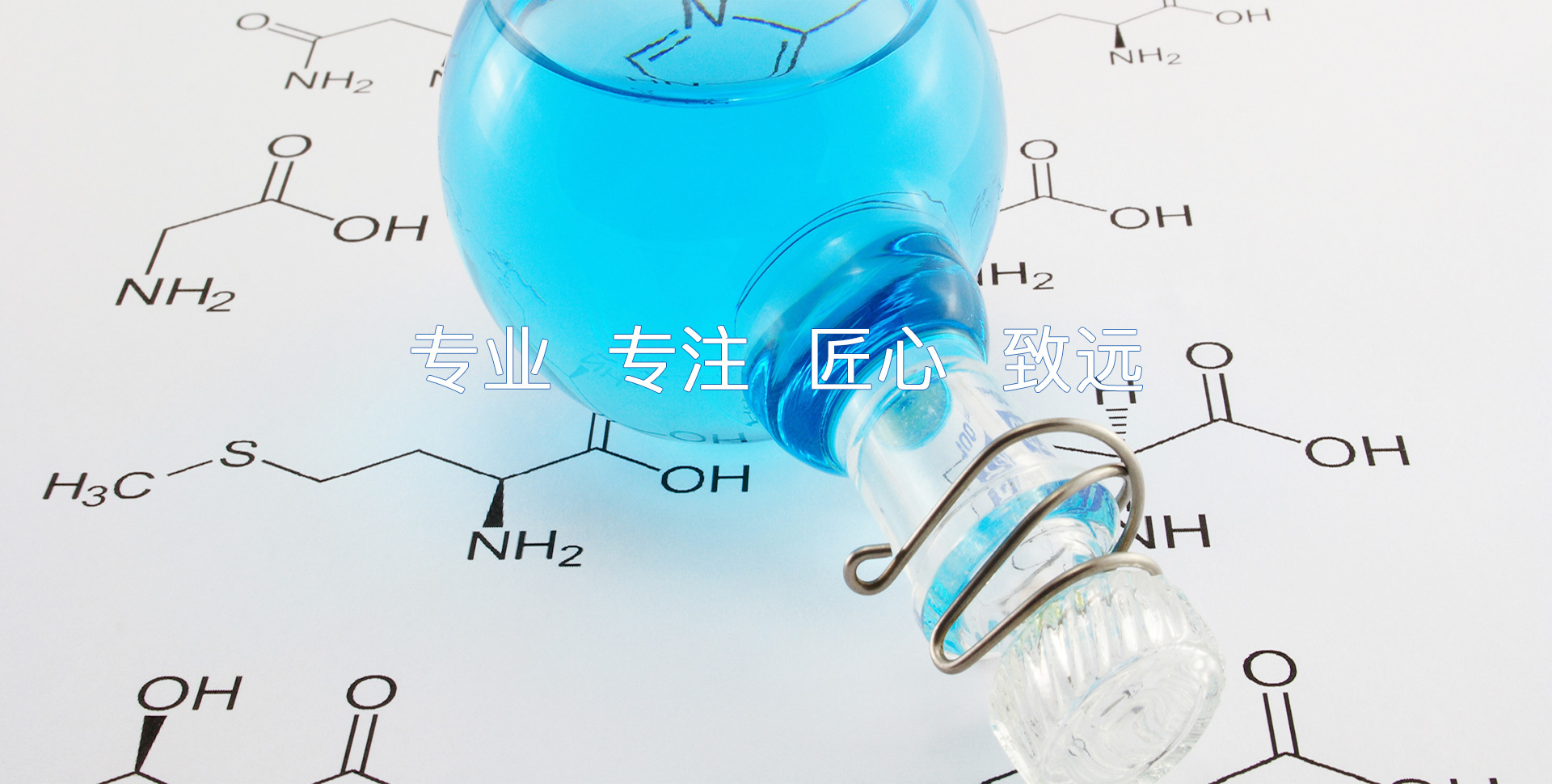 濰坊市路通機(jī)械電子有限公司